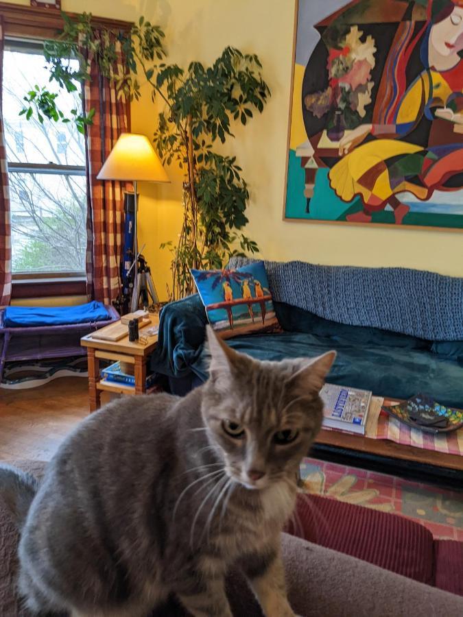 The One Cat Bed & Breakfast Братълборо Екстериор снимка