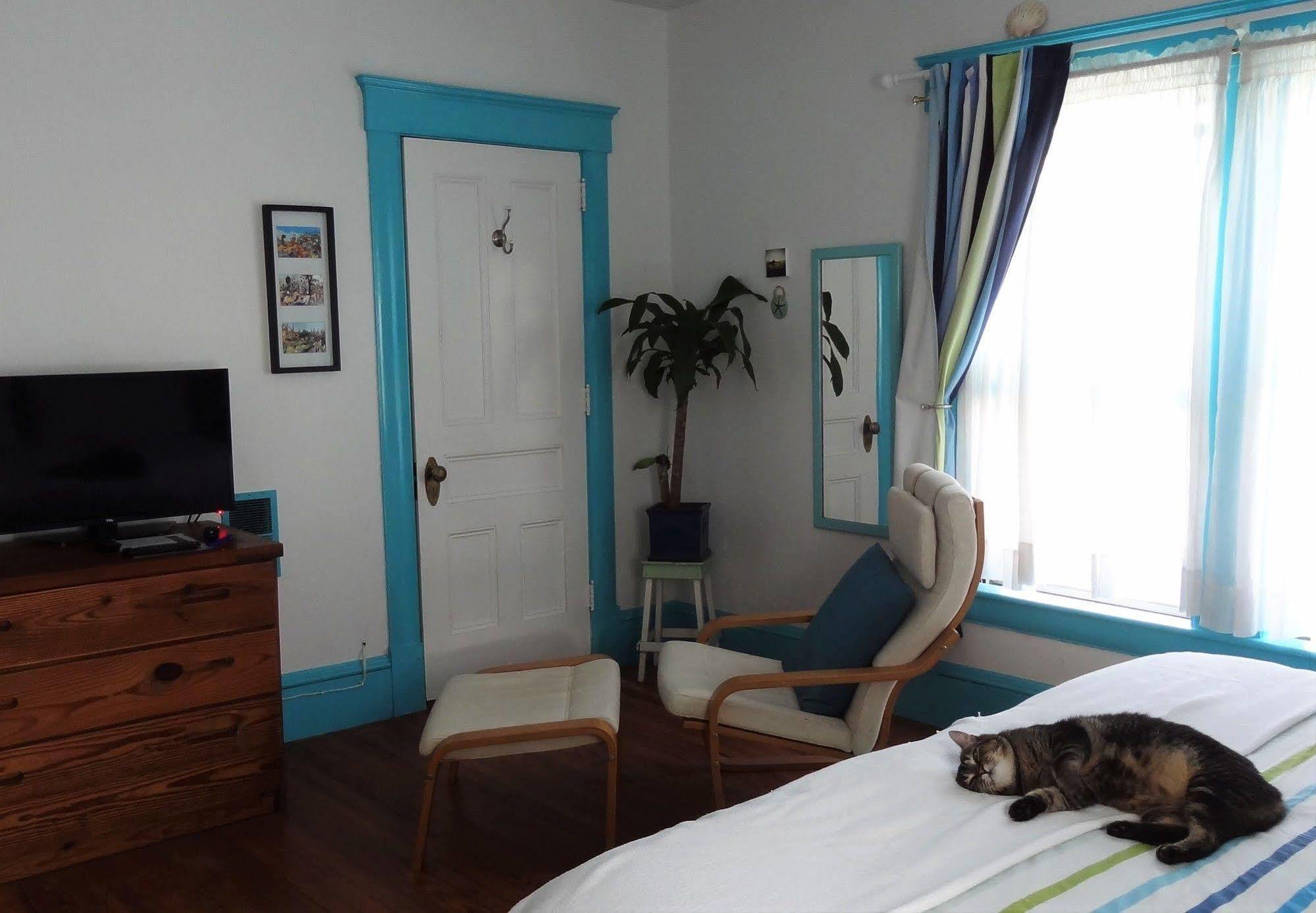 The One Cat Bed & Breakfast Братълборо Екстериор снимка