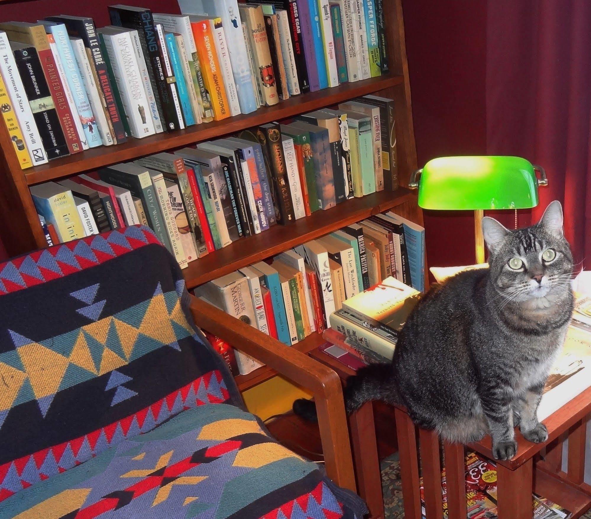 The One Cat Bed & Breakfast Братълборо Екстериор снимка